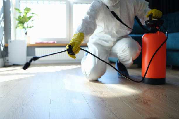 Reliable Infectious Disease Decontamination contractor in Jasper, TX by Trauma Clean Pros